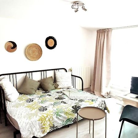 Studio Coquet Avec Vue Sainte-Foy-lès-Lyon Exteriör bild