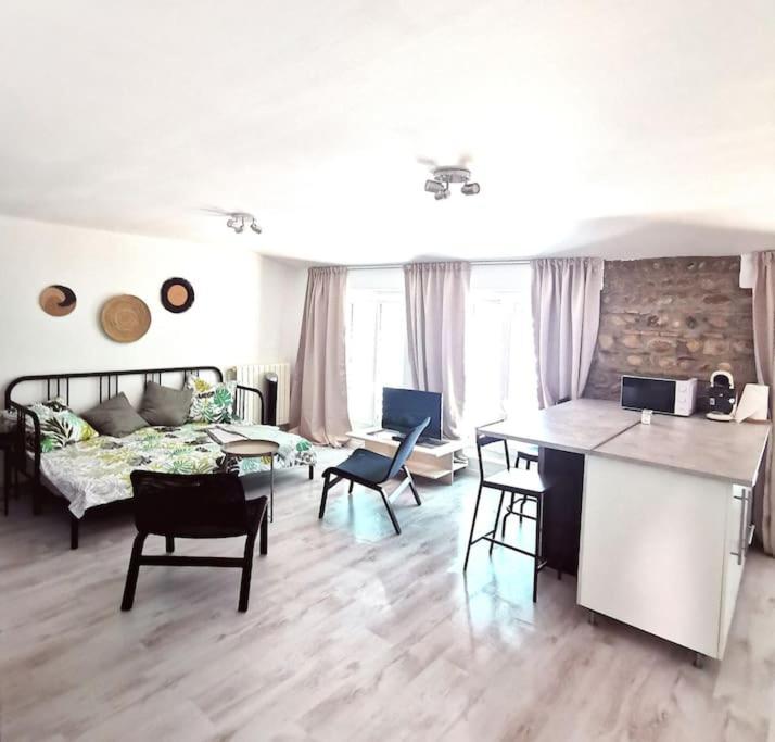 Studio Coquet Avec Vue Sainte-Foy-lès-Lyon Exteriör bild