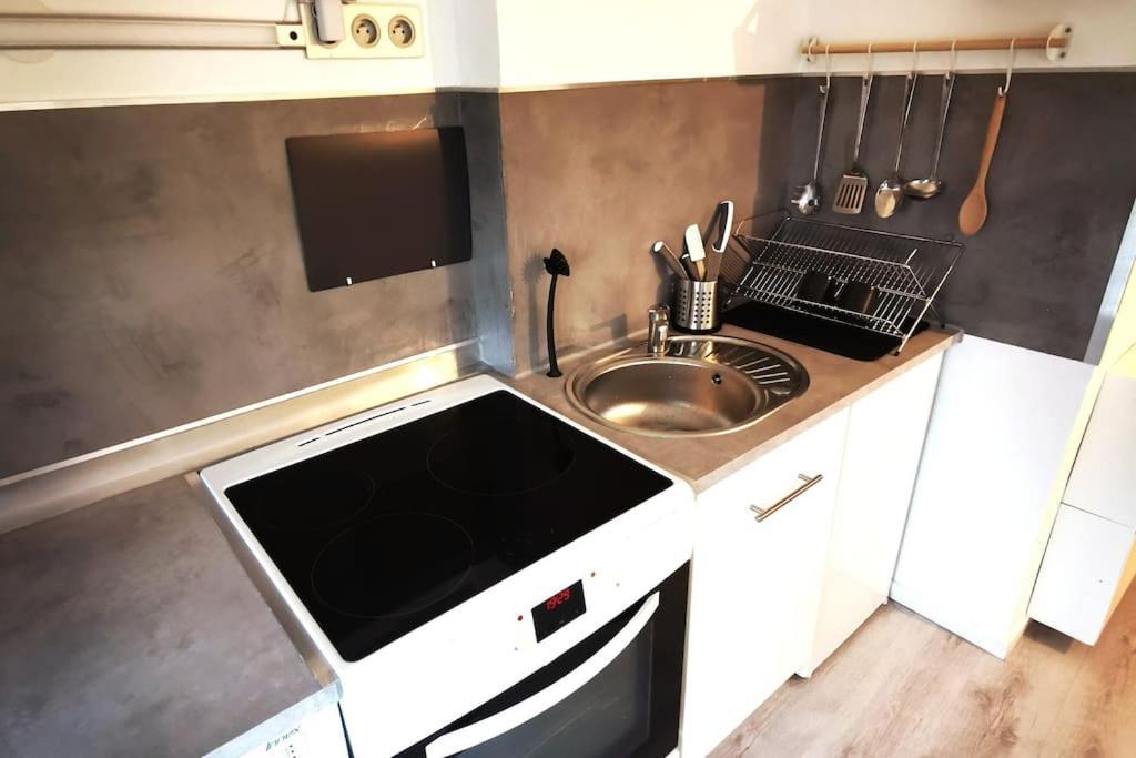Studio Coquet Avec Vue Sainte-Foy-lès-Lyon Exteriör bild